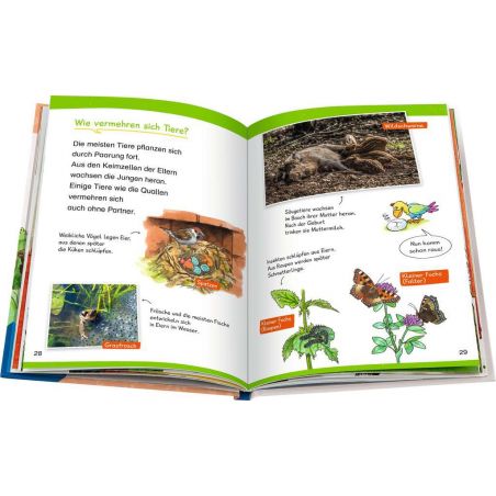 Wieso? Weshalb? Warum? Erstleser, Band 10: In der Natur Wieso? Weshalb? Warum? Erstleser, Band 10: In der Natur