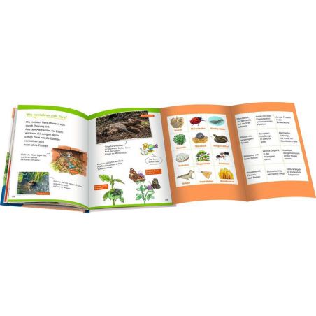 Wieso? Weshalb? Warum? Erstleser, Band 10: In der Natur Wieso? Weshalb? Warum? Erstleser, Band 10: In der Natur