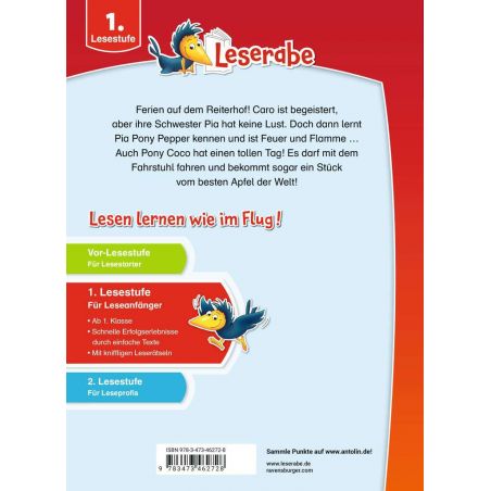 Rabenstarke Ponygeschichten für Erstleser - Leserabe ab 1. Klasse - Erstlesebuch für Kinder ab 6 Jah
