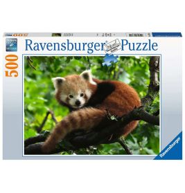 Puzzle 17381 Süßer roter Panda - 500 Teile Puzzle für Erwachsene und Kinder ab 14´2 Jah