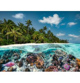 Puzzle 17441 Ein Tauchgang auf den Malediven - 2000 Teile Puzzle für Erwachsene und Kin