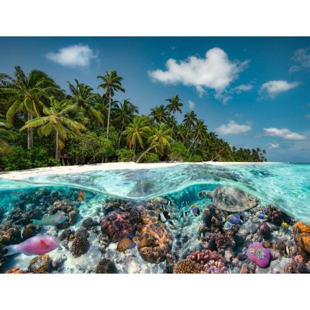 Puzzle 17441 Ein Tauchgang auf den Malediven - 2000 Teile Puzzle für Erwachsene und Kin