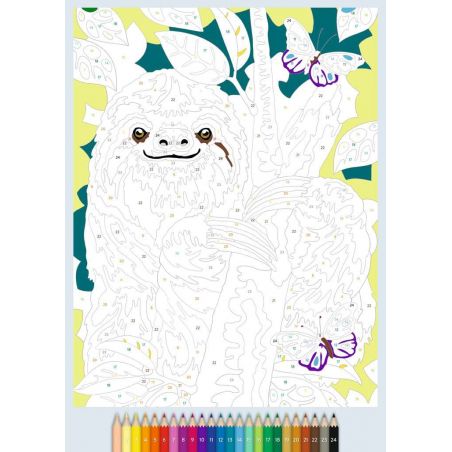 Ravensburger Malen nach Zahlen Animal Dreams - 64 Seiten - 24 Farben - Malbuch mit nummerierten Ausm