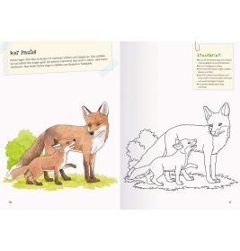 Ravensburger Mein großes Natur-Malbuch - heimische Waldtiere, Meerestiere, Vögel und Pflanzen zum Au