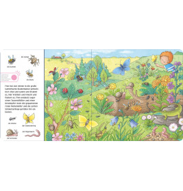 Hör mal (Soundbuch): Wimmelbuch: Wald und Wiese