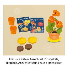 Blüten-Presse Mitbring Experimentieren
