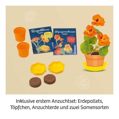 Blüten-Presse Mitbring Experimentieren