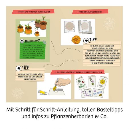 Blüten-Presse Mitbring Experimentieren