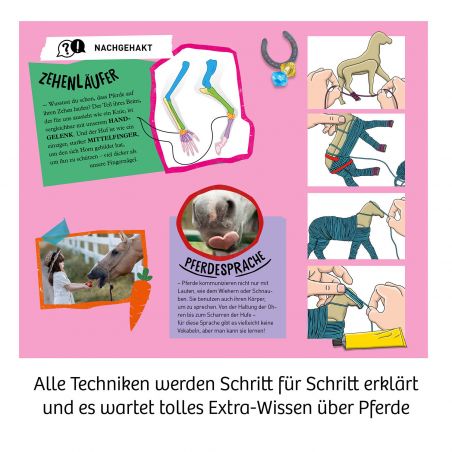 Traum-Pferd Mitbring Experimentieren