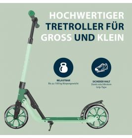 HUDORA BigWheel 205® ADV, pine