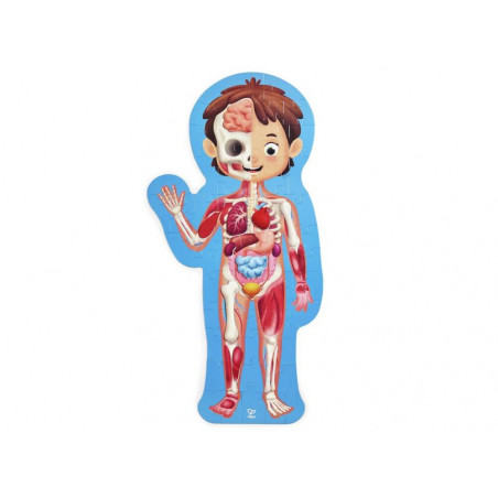 Hape Puzzle Mein Körper