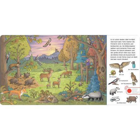 Hör mal (Soundbuch): Wimmelbuch: Am Wasser