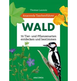 Taschenbuchführer Wald