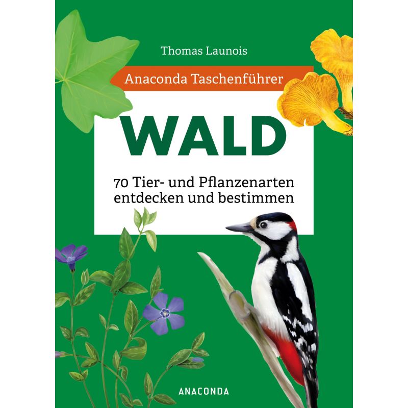 Taschenbuchführer Wald