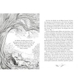 Ein Mädchen Namens Willow 2 , Waldgeflüster