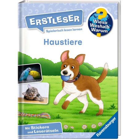 Kinderbuchcover mit fröhlichem Hund und Ball, einer Katze sowie zwei Vögeln. Titel: Haustiere.