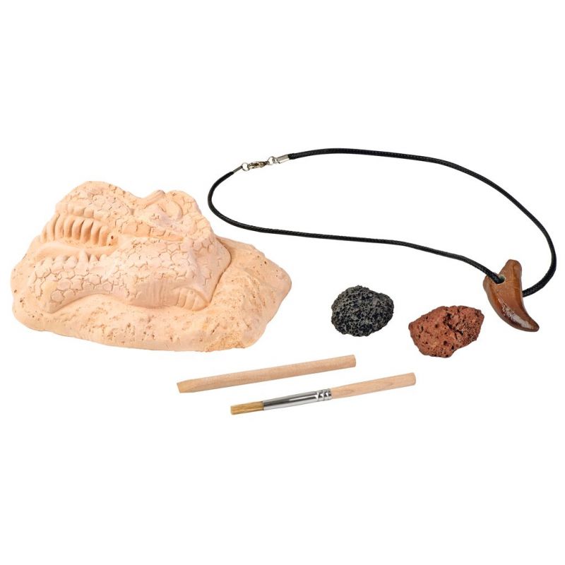 Dinosaurier-Ausgrabungsset mit Gipsfossil, Grabwerkzeugen, zwei Steinen und einer Halskette mit Zahnanhänger.