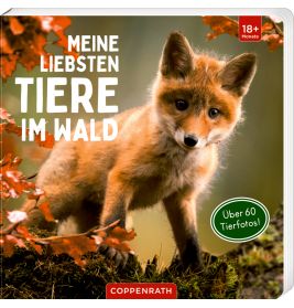 Ein junger Fuchs steht im Wald, dazu der Buchtitel Meine liebsten Tiere im Wald auf dem Cover.