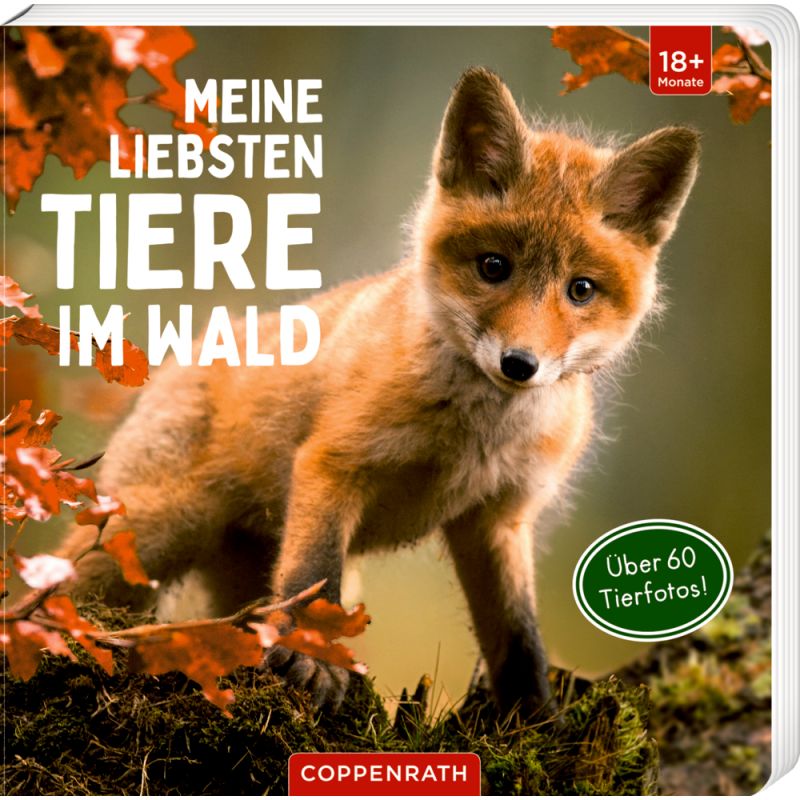 Ein junger Fuchs steht im Wald, dazu der Buchtitel Meine liebsten Tiere im Wald auf dem Cover.