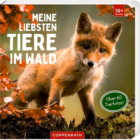 Meine liebsten Tiere im Wald