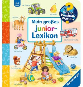 Kinder spielen auf einem Spielplatz, umgeben von beschrifteten Objekten und Tieren beim Titel Mein großes Junior-Lexikon.