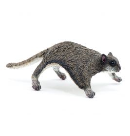Flughörnchen Kolobri
