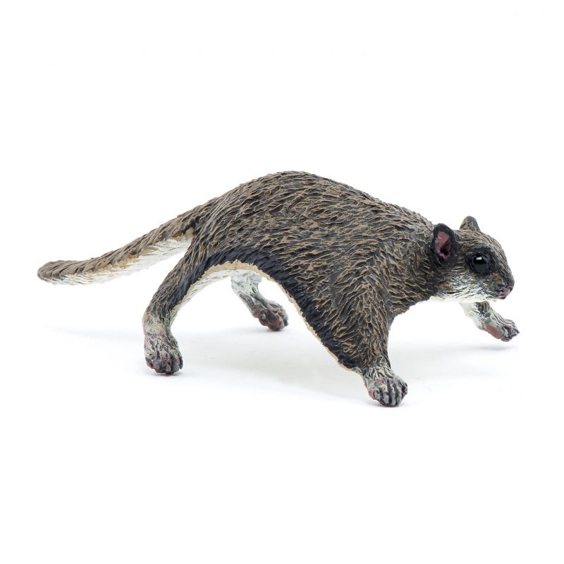 Flughörnchen Kolobri