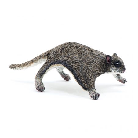 Flughörnchen Kolobri