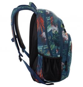 Nitro Stash Pack Tropical