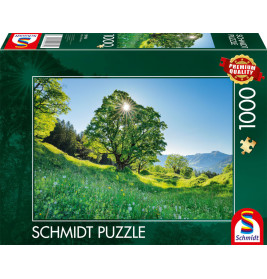 Puzzle Berg-Ahorn im Sonnenlicht, STeile Gallen, Schweiz 1000Teile