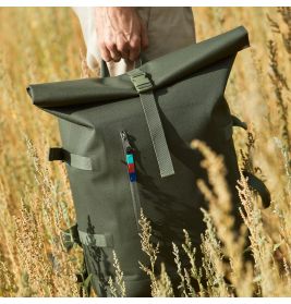 Rolltop algae
