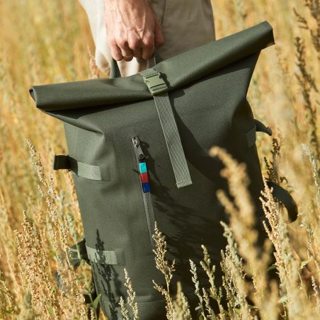 Rolltop algae