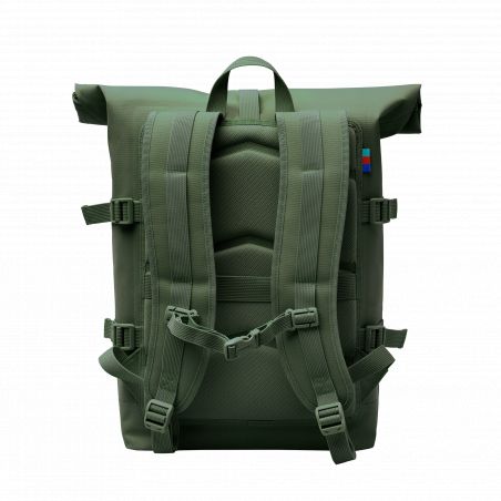 Rolltop algae