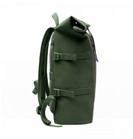 Rolltop algae