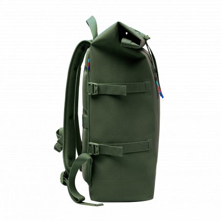 Rolltop algae