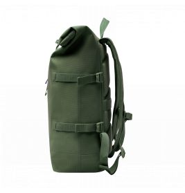 Rolltop algae