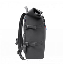 Rolltop shark