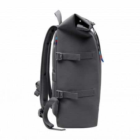 Rolltop shark