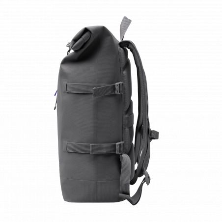 Rolltop shark