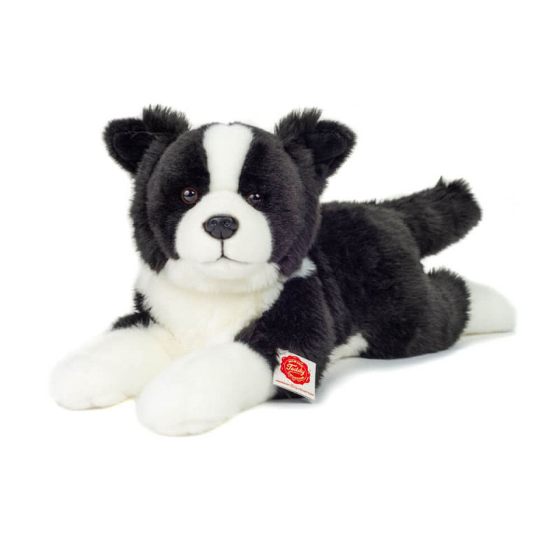 Border Collie liegend 45 cm