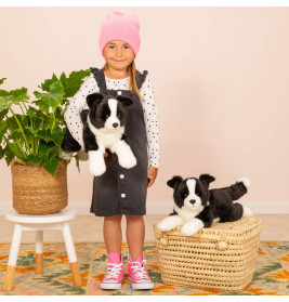 Border Collie liegend 45 cm