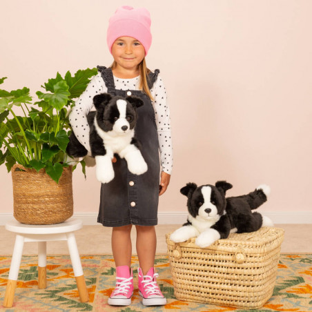 Border Collie liegend 45 cm