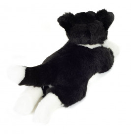 Border Collie liegend 45 cm