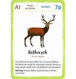 Expedition Natur Quartett
