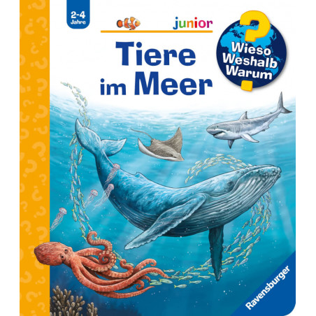 Wieso? Weshalb? Warum? junior Tiere im Meer