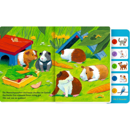 Hör mal, wer da miaut und be