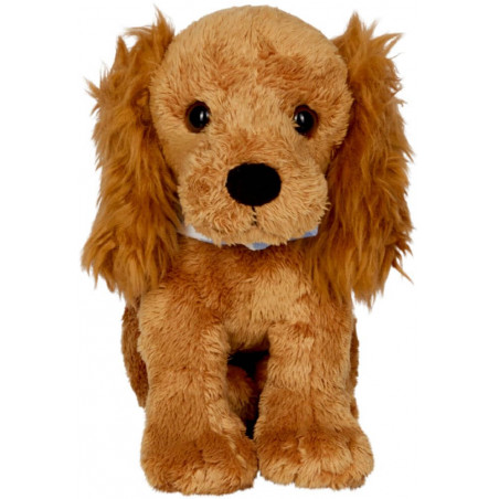 Cocker Spaniel Chip - Lustige