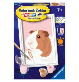 Ravensburger Malen nach Zahlen 23758 - Niedliches Meerschweinchen - Kinder ab 7 Jahren