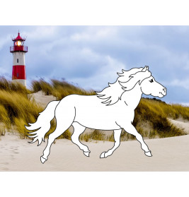 Traumpferde-Malbuch: Strand & Meer - Pferdefreunde