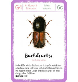 Expedition Natur Quartett Minimonster